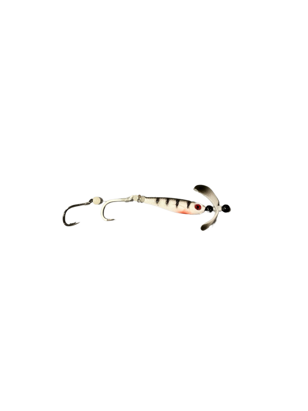 Super Minnow White Zebra