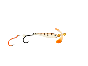 Super Minnow Orange Zebra Glow